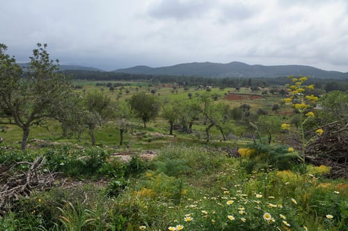 Unterwegs im Hinterland.