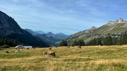 Was für eine liebliche Landschaft!