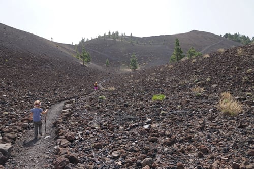 Immer wieder durchquerten wir weite Lavafelder