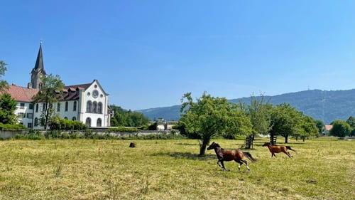 2021/06: Kloster Mehrerau (A/Bregenz)