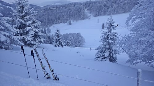 Vor mir die Abfahrt auf der Barschwangweid.