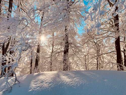 2021/02: Winterwonderland Vogelberg ;-) (CH/SO)