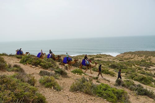 Auf die Kamele - Los geht's!