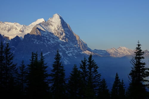 Morgenstimmung: Blick auf das Schreckhorn 3078m.