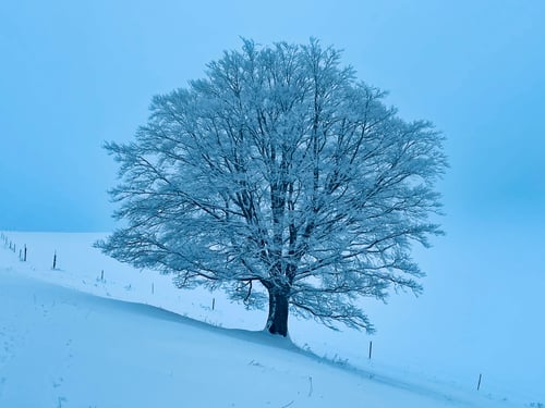 2021/02: Klirrende Kälte auf dem Grauboden/Geitenberg (CH/BL)