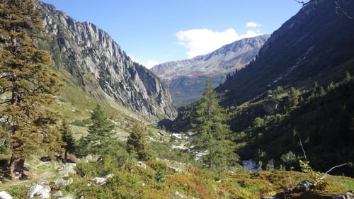 Traumhafte Herbstfarben!