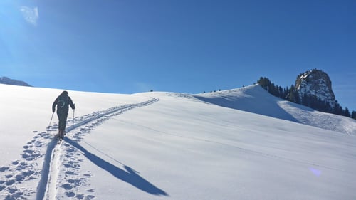 2021/03: Auf dem Weg zum Horn (CH/OW)