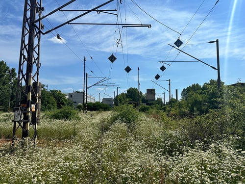 Hier ist schon lange kein Zug mehr durchgefahren.