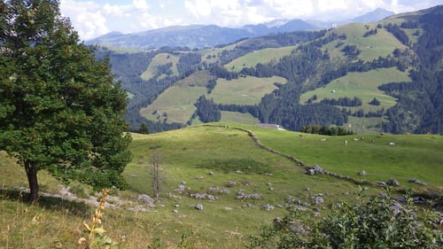 Nach 6,5 Stunden haben wir wieder Wiese unter den Bergschuhen.