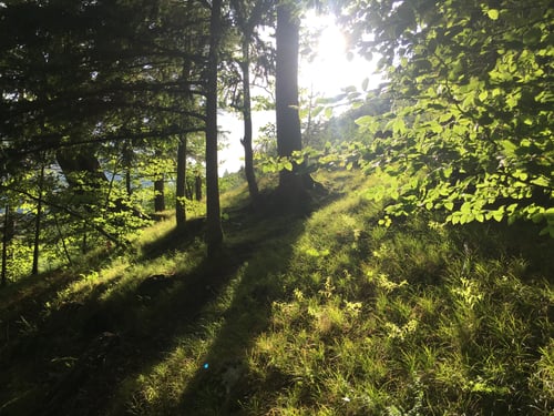 08/2019: Tolle Lichtstimmung nahe des Klettersports Bonnes Fontaines (CH/JU)