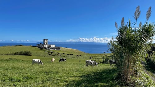 2021/10: Der Leuchtturm von Ribeirinha (PT/Azoren/Faial)