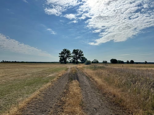 Ein toller Wegabschnitt.