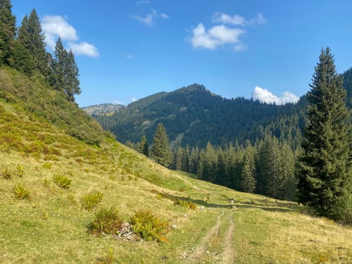 Wunderschöner Streckenabschnitt.
