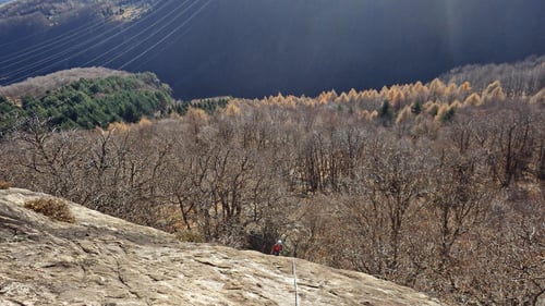 Klettern über dem Kastanienwald.