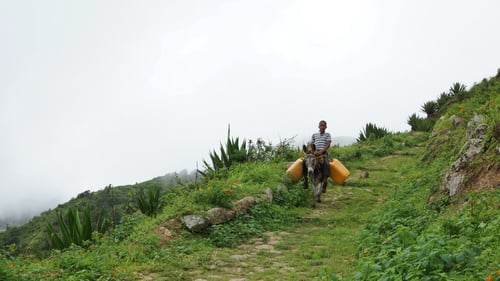 ... wo auch wirklich Esel mit Besitzer vorbeikommen.