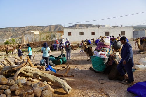 Die Karawane bereitet sich für den Abmarsch vor.