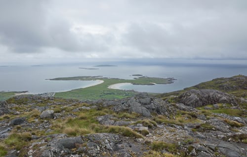 Blick auf die Dogs Bay