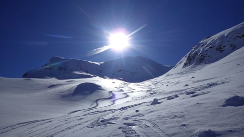 Abfahrt vom Blüemberg nach Muotathal. Die zwei Spuren links sind von uns :-)