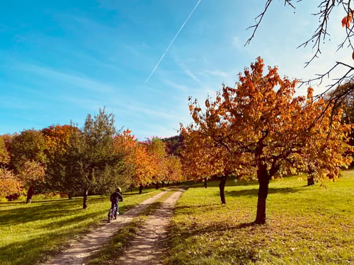 2020/10: Unterwegs im herbstlichen Schwarzbubenland (CH/SO)