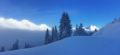 Mystische Stimmung beim Aufstieg