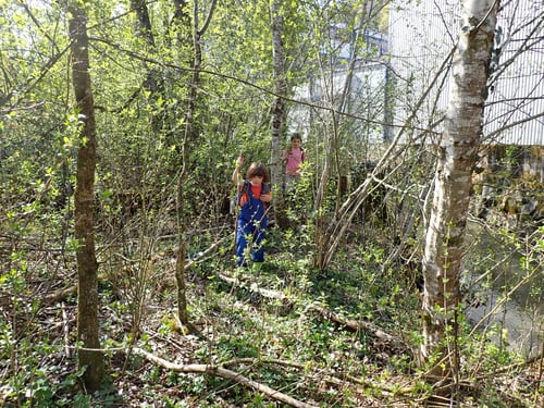 Wir kämpfen uns durchs Dickicht....