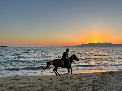 2024/09: Reiten am Plaka-Beach (GR/Naxos)