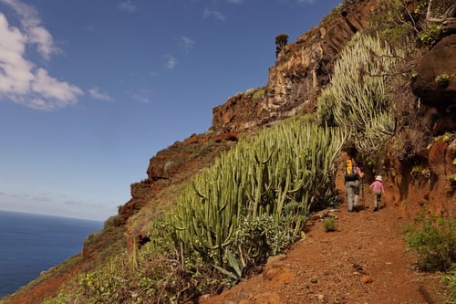 Tolle Wanderkulisse! 