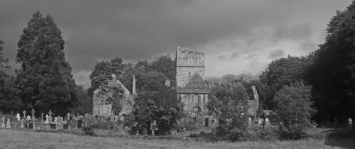 Die Muckross Abbey