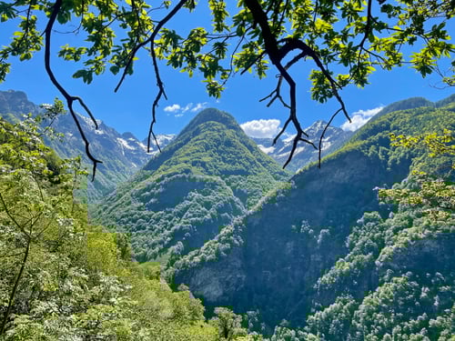 Der Blick vom Kletterspot aus :-)