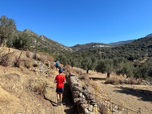Eselswege führten uns durch wunderschöne Olivenhaine. Weit oben kann man die Ortschaft Moni bereits erspähen.