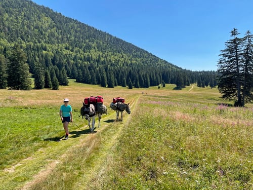 2021:/08: Eseltrekking im Nationalpark von Vercors (F/ARA)