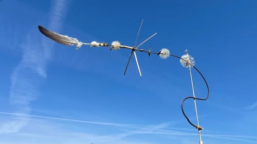 - wohin mich der Wind auch treibt -