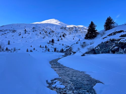 Hier in der Talsohle von Radons montieren wir die Felle. Der Gipfel des Piz Mez wird bereits von der Sonne begrüsst.