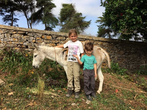 Immer wieder trifft man einen zottligen Esel an der sich über Streicheleinheiten freut.