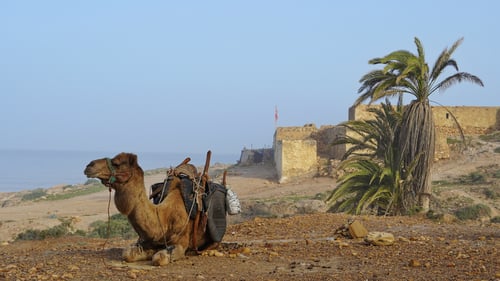 2023/04: Tabayat (MA)