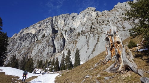 Der Zustieg zur Wandfluh.