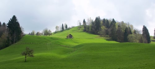 Liebliche Hügellandschaft