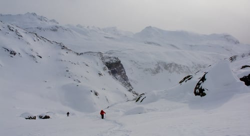 Einige Aufhellungen liessen doch ein paar Fotos zu.