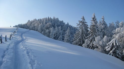 Perfekte Jura Winterlandschaft