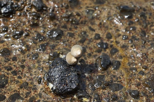 Never walk alone :-)