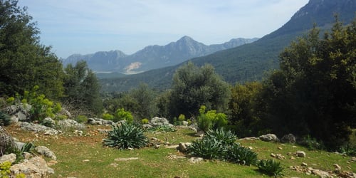 Eine liebliche Gegend. Ab und zu laufen Hirten mit ihren Ziegen vorbei.