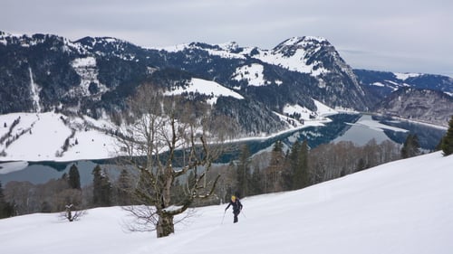 Alleine unterwegs...