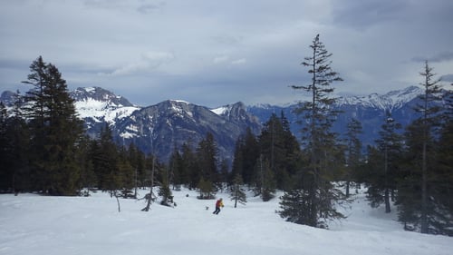 Tolle Abfahrt durch lichte Waldabschnitte.