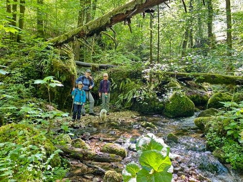 2020/05: Unterwegs im Kaltbrunnental (CH/SO)