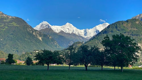 2020/06: Eiger, Mönch & Jungfrau :-)