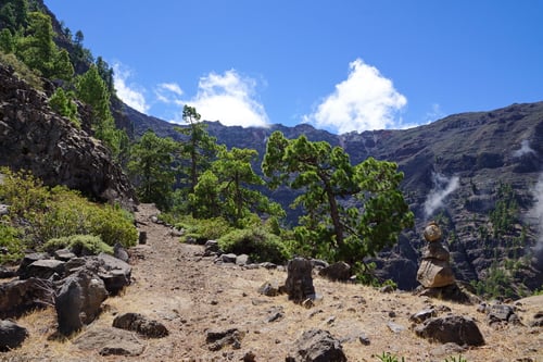 Endlich oberhalb der Nebelgrenze!