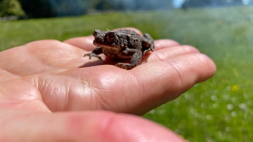 2020/05: Begegnungen unterwegs...