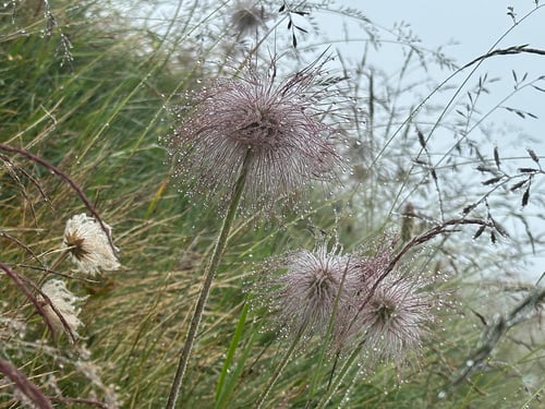 2025/07: Schwarzbergchopf (CH/VS)
