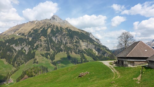Alphütte bei Baumgarten.
