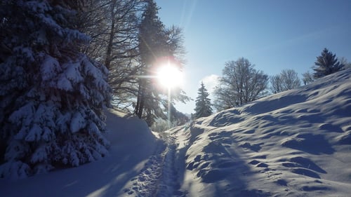 Der Jura im Winterkleid - kurz vor Pt 1079